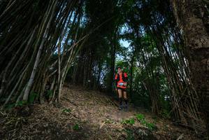 BIB: 
                            <button type="button" onclick="openModal(19395506)" class="btn btn-primary btn-sm float-right btn-popup" data-toggle="modal" data-target=".modal-high-quality">
                        <i class="fas fa-shopping-cart"></i> Add to Cart
                    </button>
                                            <button type="button" onclick="isThisMe(19395506, true)" class="btn btn-success btn-sm float-right btn-popup btn-isme hidden" data-toggle="tooltip" data-placement="bottom" title="นี่คือรูปของคุณใช่ไหม คลิกที่นี่เพื่อเอาเข้าอัลบั้ม">
                        <i class="fas fa-plus"></i> Add to album
                    </button>
                    <button type="button" onclick="isThisMe(19395506, false)" class="btn btn-warning btn-sm float-right btn-popup btn-isnotme hidden">
                        <i class="fas fa-ban"></i> Remove from album
                    </button>